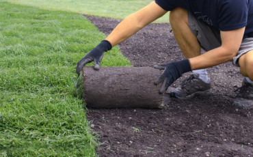 Progettazione del verde
