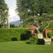 Manutenzione del verde 1
