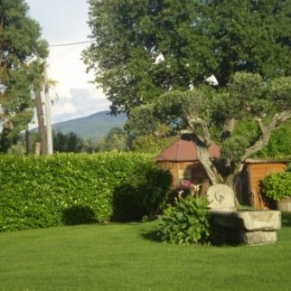 Manutenzione del Verde - 1