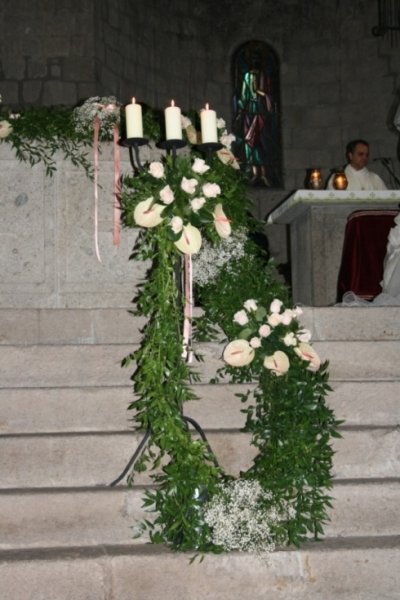 Allestimenti Floreali E Noleggio Piante Servizi Vivaio La Camelia