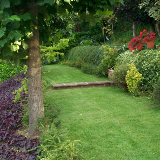 Progettazione del Verde - 3