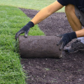 Manutenzione del verde 7