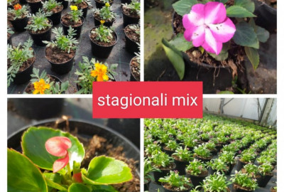 Mix Stagionali