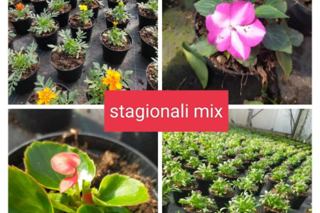 Mix Stagionali